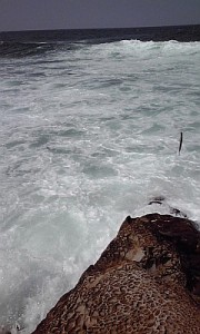 ��q���̃q���X�Y�L�|�C���g